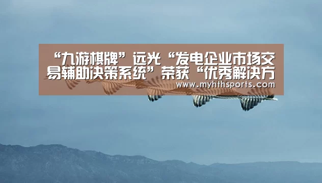 “九游棋牌”远光“发电企业市场交易辅助决策系统”荣获“优秀解决方案”奖(图1) 九游棋牌官网