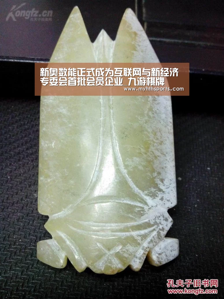 新奥数能正式成为互联网与新经济专委会首批会员企业_九游棋牌(图2) 九游棋牌