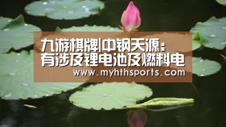 九游棋牌|中钢天源：有涉及锂电池及燃料电池的业务(图2)