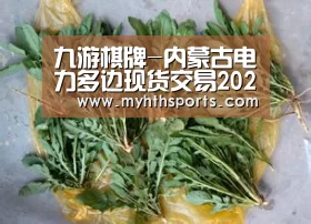 九游棋牌-内蒙古电力多边现货交易2020年开始正式运行(图2) 九游棋牌