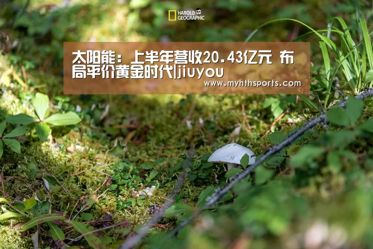 太阳能:上半年营收20.43亿元 布局平价黄金时代|jiuyou(图3) 九游棋牌官网