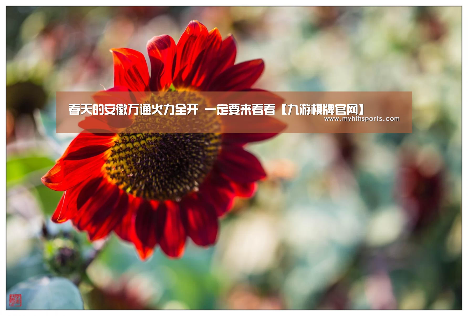 春天的安徽万通火力全开 一定要来看看【九游棋牌官网】(图2) 九游彩票